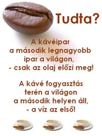 kaveipar_tudta2.jpg